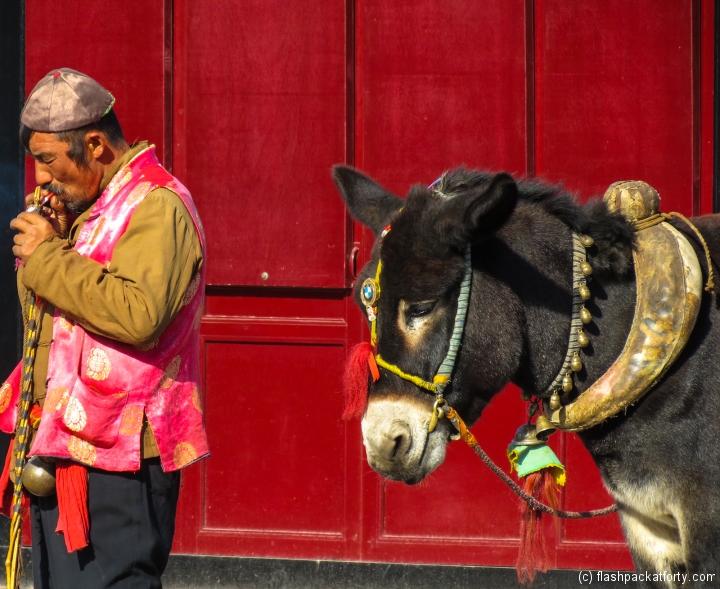 pingyao-donkey-cart-with-driver