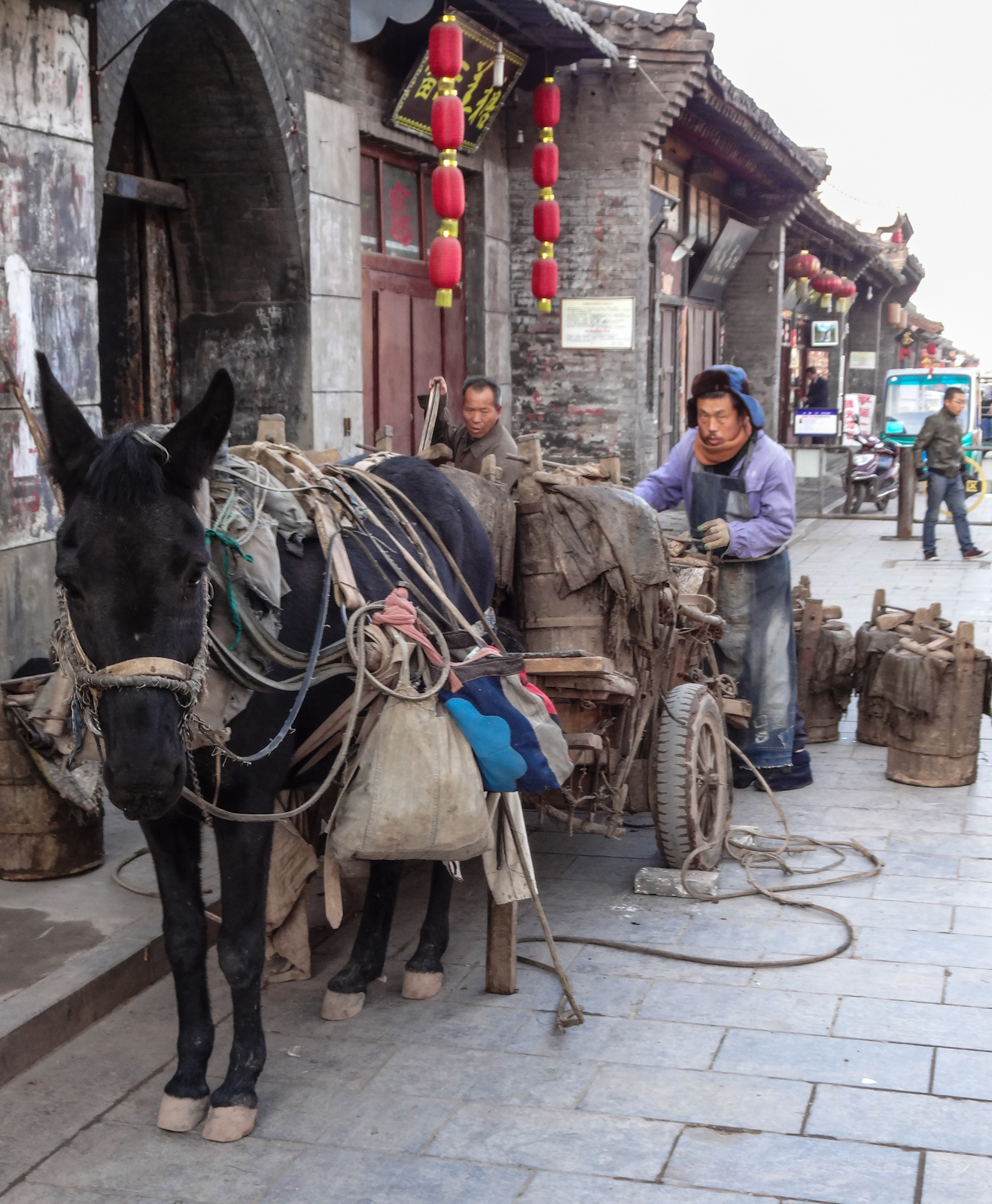donkey-and-cart-pingyao