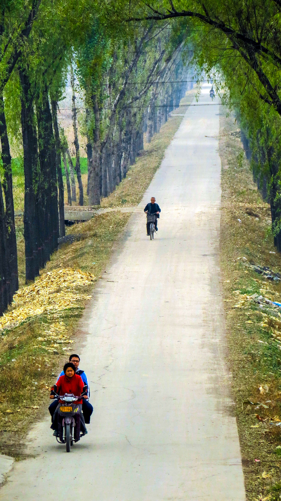 pingyao-tree-lined-road-and-riders