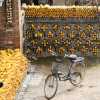 drying-sweetcorn-pingyao