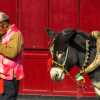 pingyao-donkey-cart-with-driver