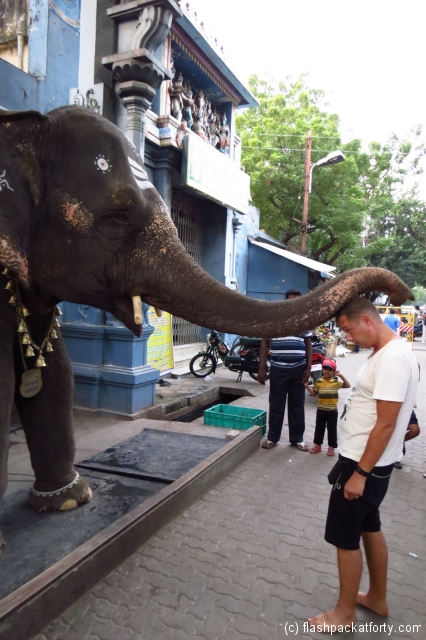 blessing-manakkula-vinayakar-temple-pondicherry