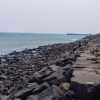 pondicherry-beach-rocks