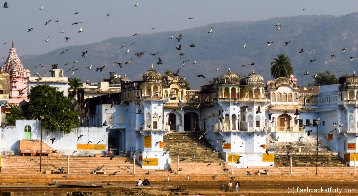 pushkar-buildings-with-pigeons