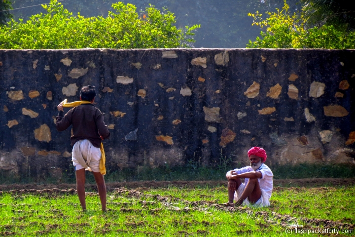 rice-workers-pushkar-india