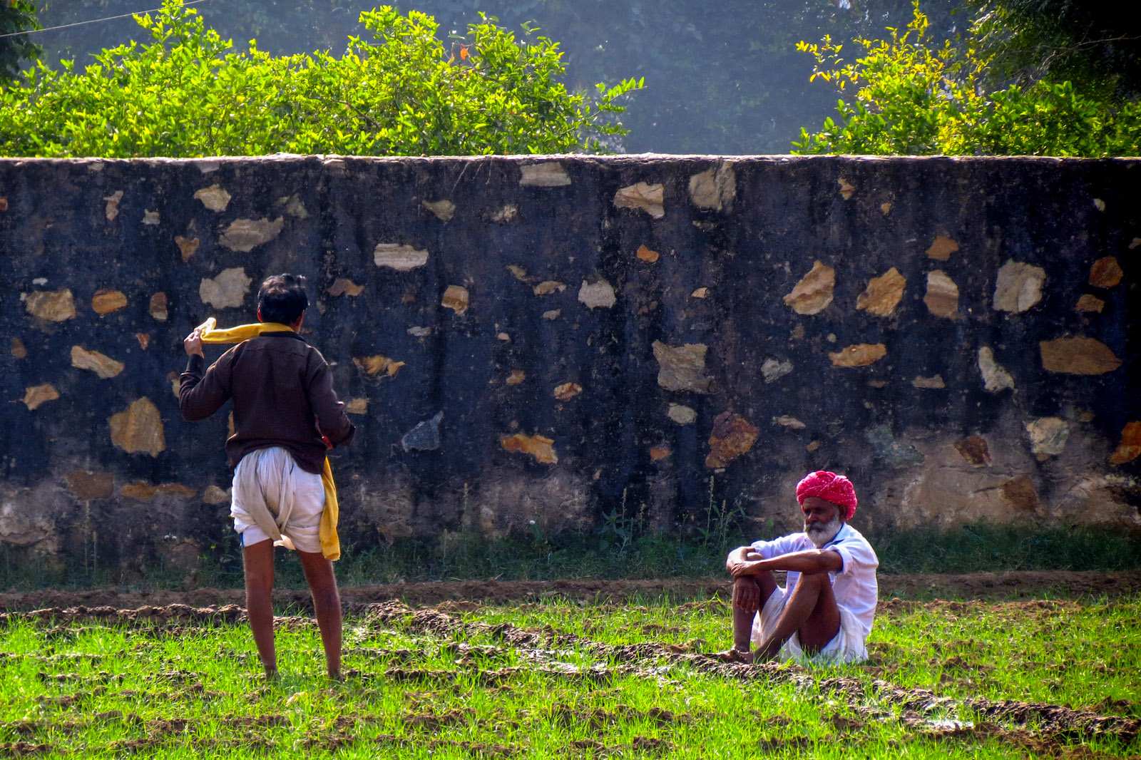 rice-workers-pushkar-india