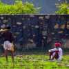 rice-workers-pushkar-india