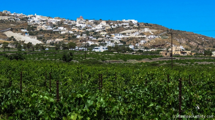 viewyards-and-mountain-houses-santorini