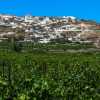 viewyards-and-mountain-houses-santorini