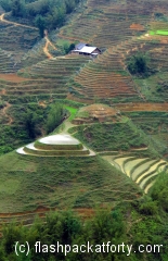 Rice terraces vietnam
