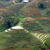 Rice terraces vietnam