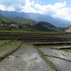 Water rice terrace