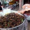 cricket-food-siem-reap
