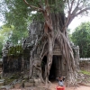ta-prohm-and-girl