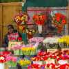 flower-market-sofia