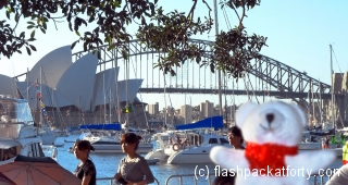 pichachu-sydney