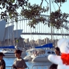 pichachu-sydney