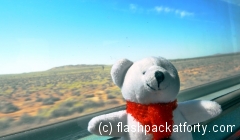 pichachu-on-the-indian-pacific