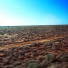 indian-pacific-view-horizon-to-nothing