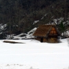 shirakawa-go-snow-scene-landscape
