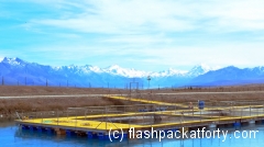 salmon-farm-mount-cook