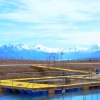 salmon-farm-mount-cook