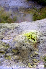 Wai-O-Tapu Sulphur steam