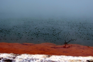 Wai-O-Tapu champagne pool