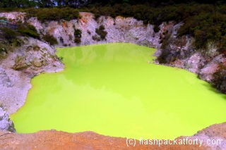 Wai-O-Tapu green lake