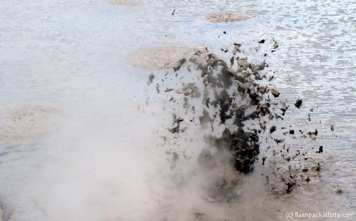 Wai-O-Tapu mud pool explosion