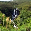 Waipunga  Falls