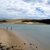 giant-sand-dunes-opononi