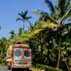 colourful-truck-and-palms-wayanad-india