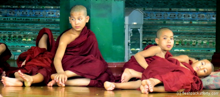 shwedagon-pagoda-novice-monks