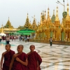 shwedagon-pagoda-monks-group