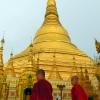 shwedagon-pagoda-monks