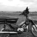 Moped by paddy field