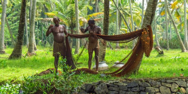 Kerala Relaxation, Backwaters and Ayurvedic Massage