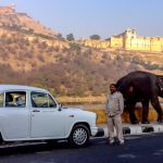 India Car Rental and Driver Hire