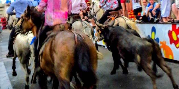 Your Guide to the Ceret Feria: Part One